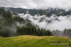 Wolkenverhangenes Jetzbachtal